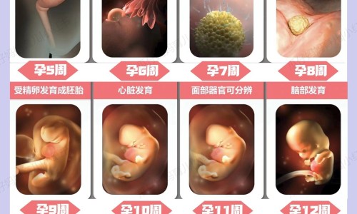 怀孕6个月胃疼-孕妇6个月胃疼网 - 为你提供孕妇6个月胃疼怎么办、孕妇6个月胃疼正常吗
